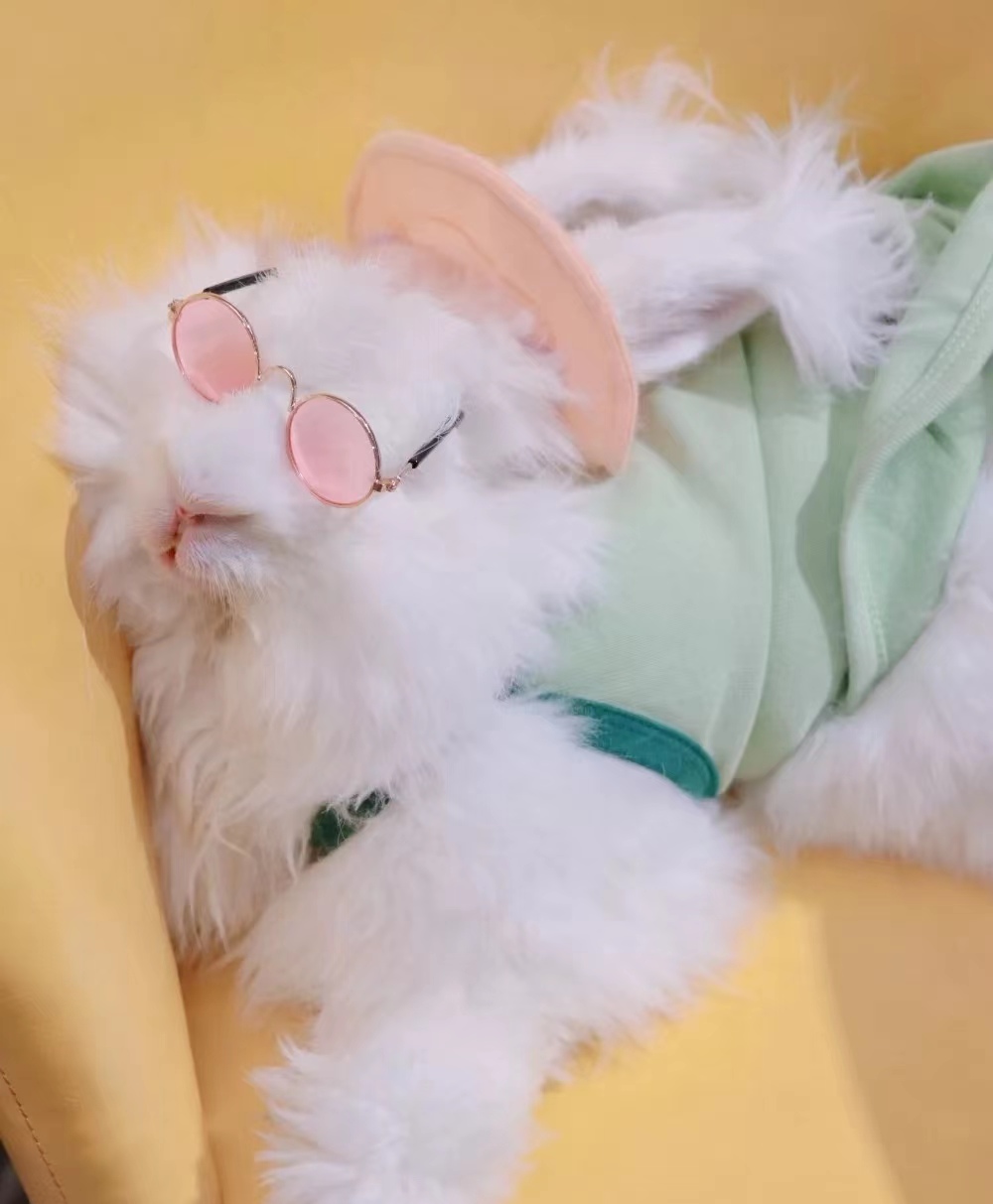 8beebedd-d1e9-411b-8a60-cdd3a01853a5 8beebedd-d1e9-411b-8a60-cdd3a01853a5