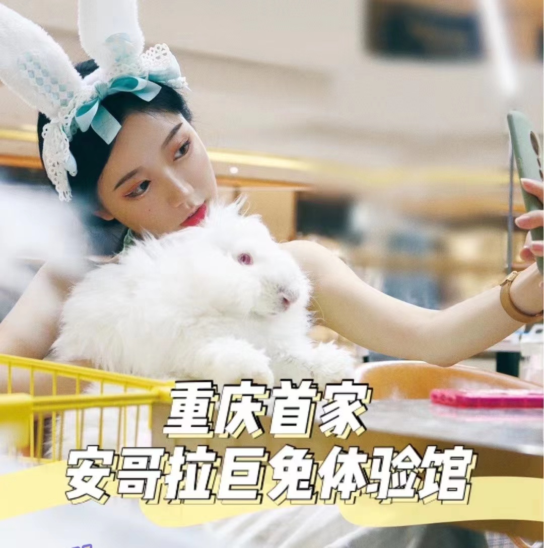 950ca0fa-a7e4-484e-804d-c9863e380760 950ca0fa-a7e4-484e-804d-c9863e380760