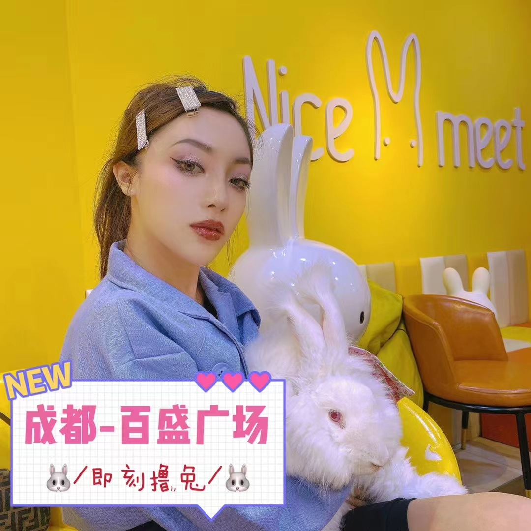 長毛兔養殖行不行？小編實誠分享，不吹不黑說真相